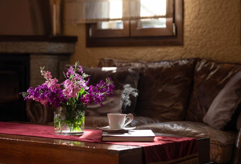 Ξενώνας Αγκάθι Τζουμέρκα