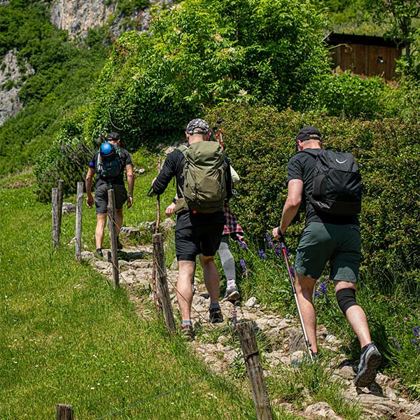 Πεζοπορία και φύση στα Τζουμέρκα