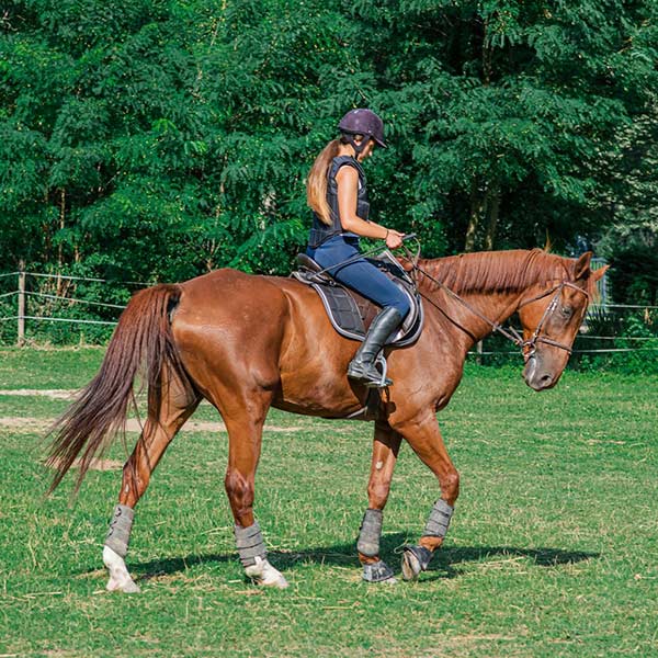 Ιππασία στα Τζουμέρκα